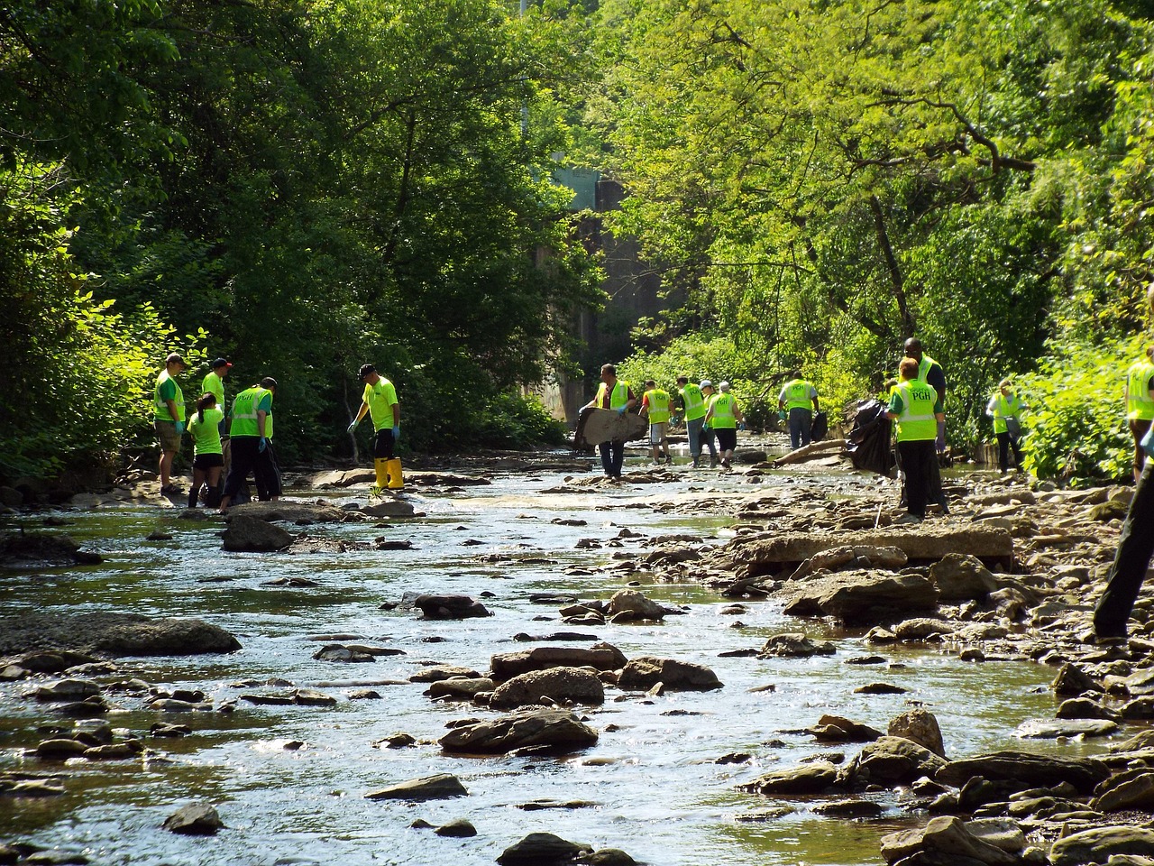 cleanup, water, nature, stream, creek, scenic, environment, environmental